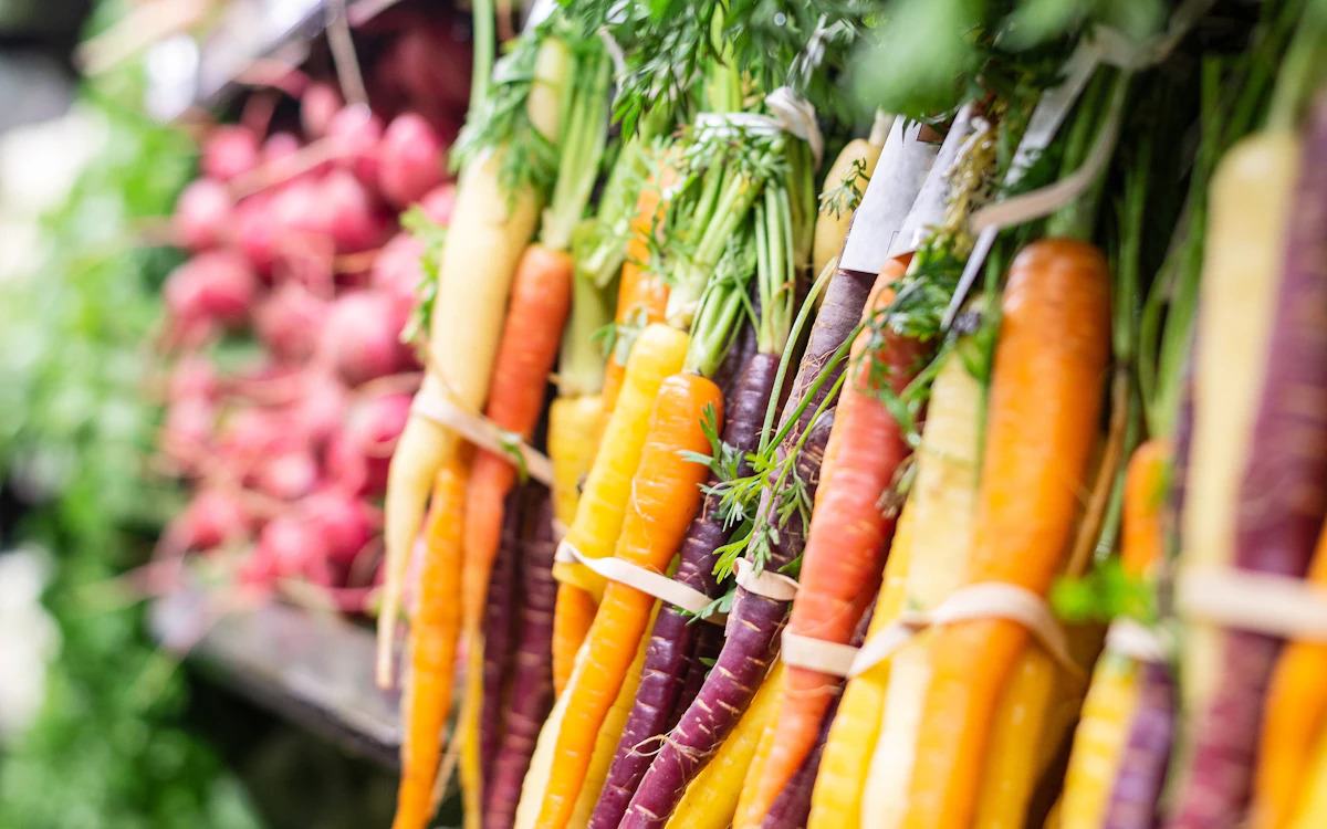 Alimentos